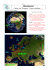 GÉOGRAPHIE Carte de l`Europe - Vues satellites (01