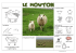 Son portrait : Un troupeau de moutons : Le mouton mange : Il se