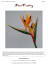 67FA1041 Strelitzia oiseau de paradis artificiel