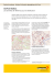 2015-170 GeoPost Mailbox