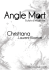 PDF - Angle Mort