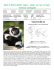 Black and White Ruffed Lemur Sheet Info Sheet 2011